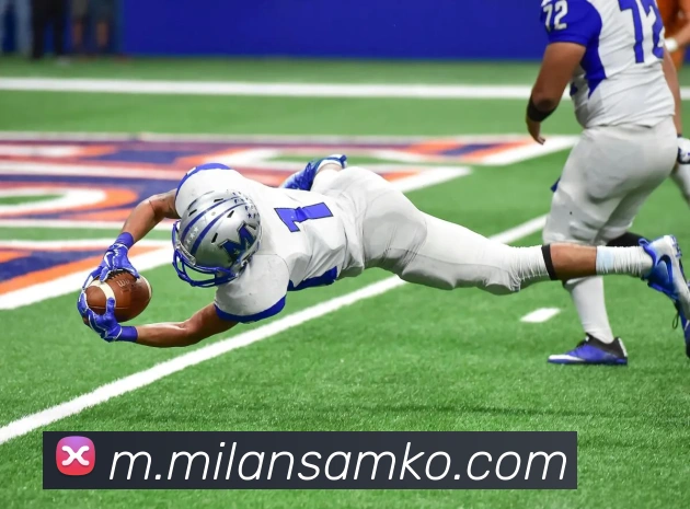 米兰体育APP 封面图